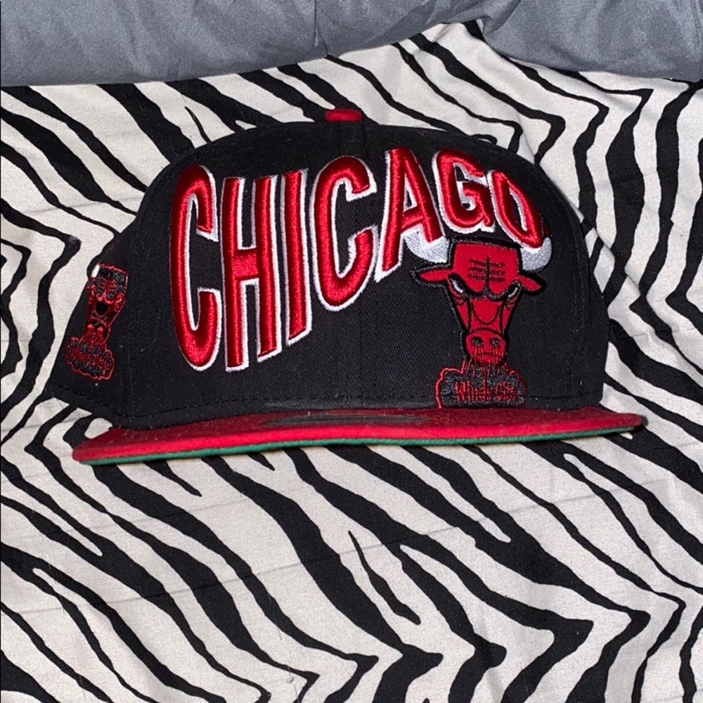 Bulls SnapBack